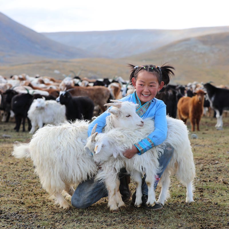 Soziale Verantwortung übernehmen: das Kaschmir Projekt