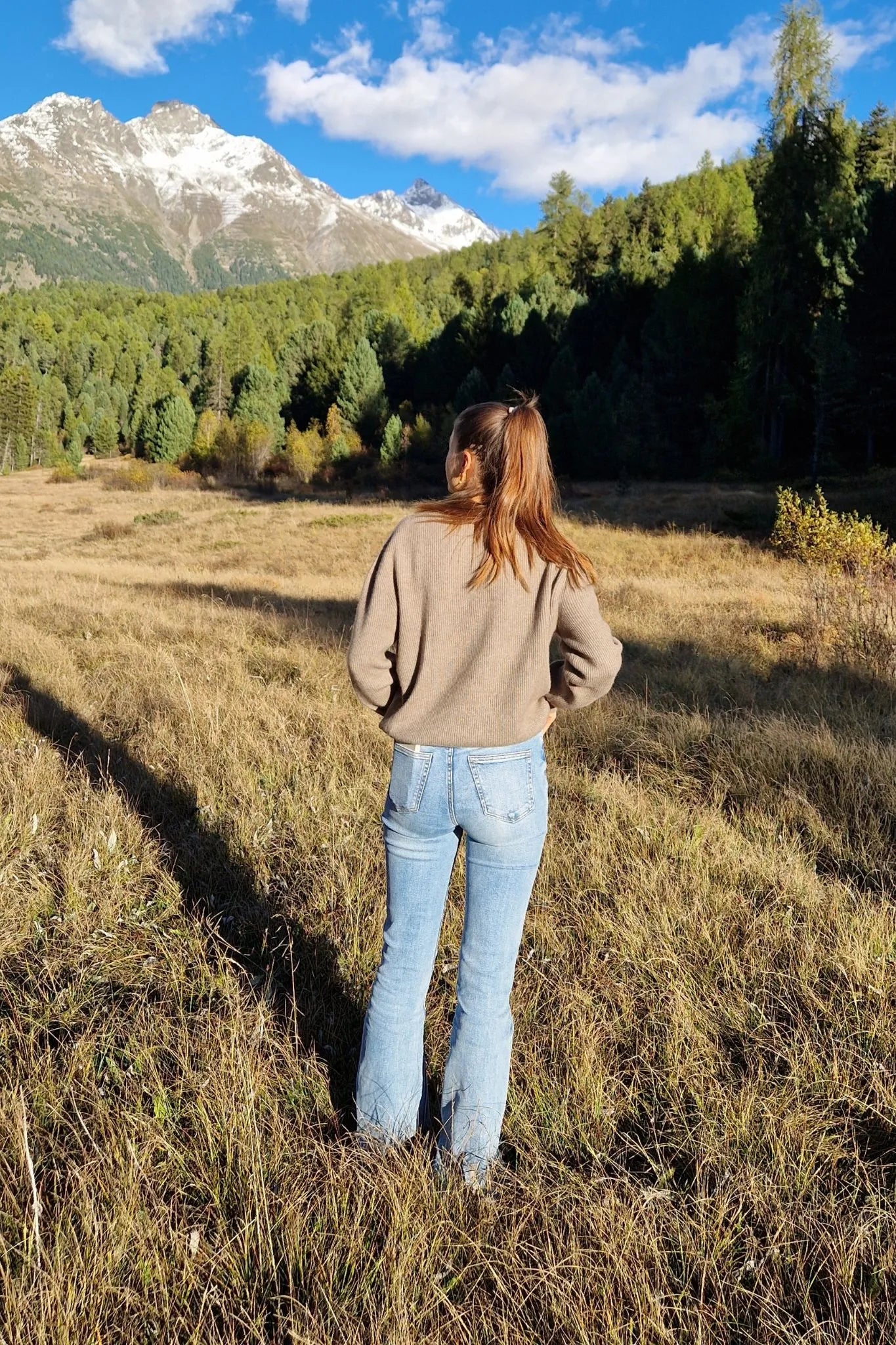 Kaschmir Pullover Rundhals